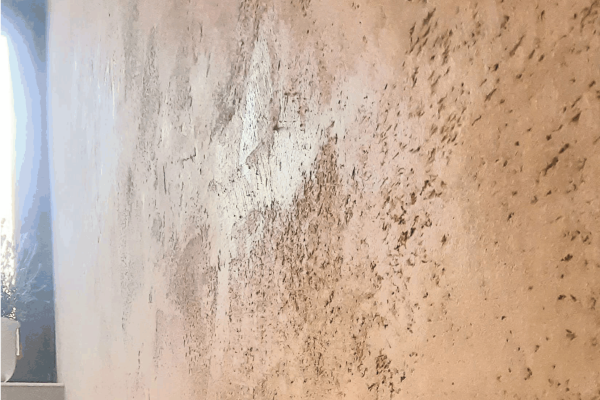 Sie sehen einen Wandbereich mit gesunden Kalkputz