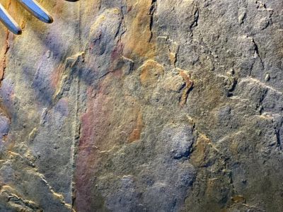 Ein Wandausschnitt aus echter Steinfläche  - Malermeister Marco Schubert | Wolfenbüttel