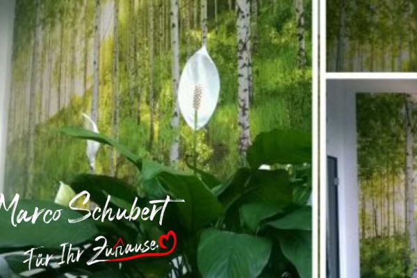 Tapezierarbeit mit einer Fototapete an einer Bürowand